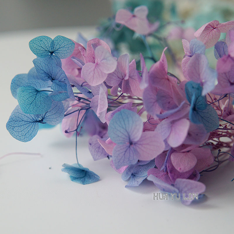 Dried Flower Bulk - オンブレグラデーションドライプリザーブドアジサイフラワードライフラワーDIY手作りブーケ作り花瓶飾りウェディングパーティー
