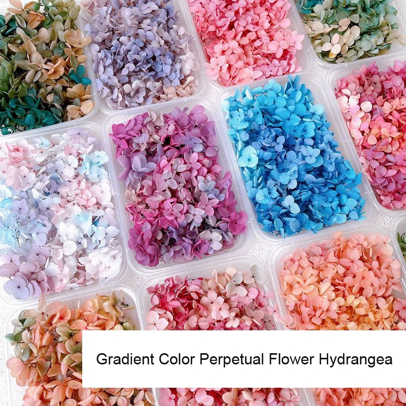 ネイルデコレーション用ドライフラワー,1箱 - Dried Flower Bulk のレビューと価格