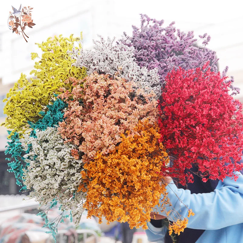ドライフラワー天然クリスタル草の花束ホームウェディングテーブ - Dried Flower Bulk のレビューと価格